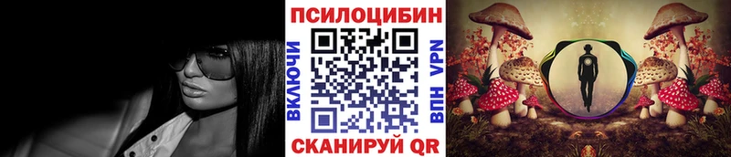 где найти наркотики  Элиста  Галлюциногенные грибы мицелий 